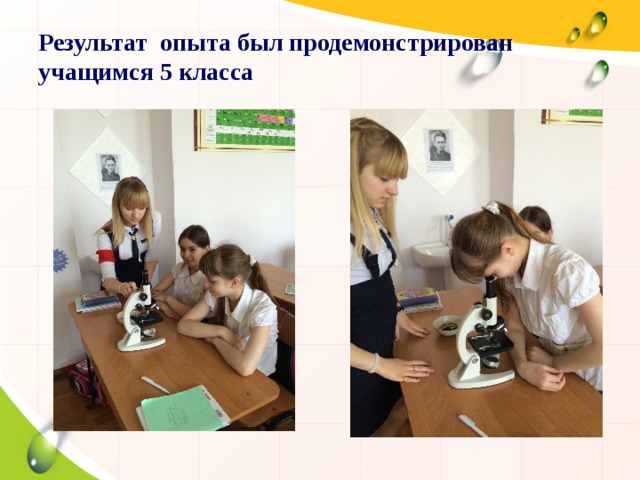 Результат опыта был продемонстрирован учащимся 5 класса 