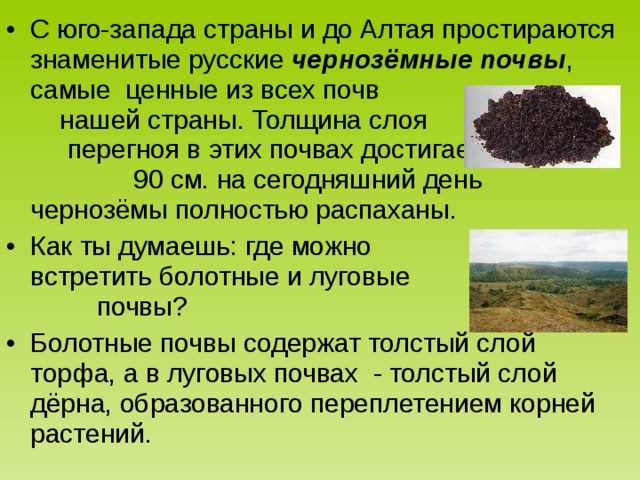 С юго-запада страны и до Алтая простираются знаменитые русские чернозёмные почвы , самые ценные из всех почв нашей страны. Толщина слоя перегноя в этих почвах достигает 90 см. на сегодняшний день чернозёмы полностью распаханы. Как ты думаешь: где можно встретить болотные и луговые почвы? Болотные почвы содержат толстый слой торфа, а в луговых почвах - толстый слой дёрна, образованного переплетением корней растений. 