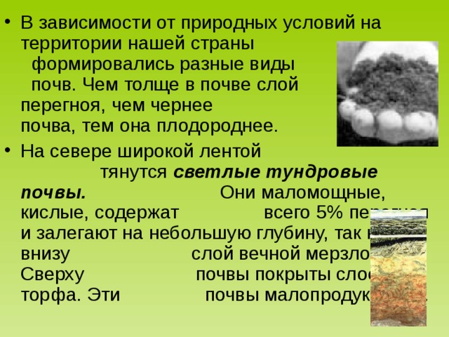 В зависимости от природных условий на территории нашей страны формировались разные виды почв. Чем толще в почве слой перегноя, чем чернее почва, тем она плодороднее. На севере широкой лентой тянутся светлые тундровые почвы. Они маломощные, кислые, содержат всего 5% перегноя и залегают на небольшую глубину, так как внизу слой вечной мерзлоты. Сверху почвы покрыты слоем торфа. Эти почвы малопродуктивны. 