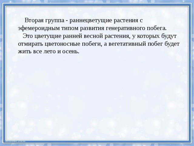  Вторая группа - раннецветущие растения с эфемероидным типом развития генеративного побега.  Это цветущие ранней весной растения, у которых будут отмирать цветоносные побеги, а вегетативный побег будет жить все лето и осень. 