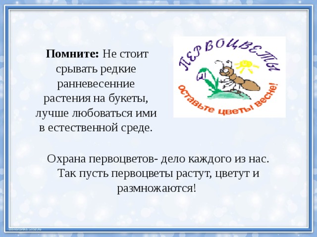  Помните: Не стоит срывать редкие ранневесенние растения на букеты, лучше любоваться ими в естественной среде. Охрана первоцветов- дело каждого из нас. Так пусть первоцветы растут, цветут и размножаются! 