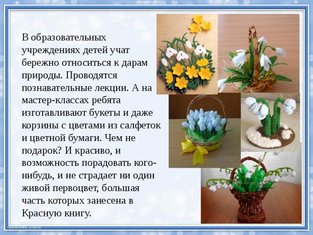 В образовательных учреждениях детей учат бережно относиться к дарам природы. Проводятся познавательные лекции. А на мастер-классах ребята изготавливают букеты и даже корзины с цветами из салфеток и цветной бумаги. Чем не подарок? И красиво, и возможность порадовать кого-нибудь, и не страдает ни один живой первоцвет, большая часть которых занесена в Красную книгу. 