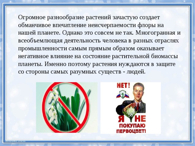 Огромное разнообразие растений зачастую создает обманчивое впечатление неисчерпаемости флоры на нашей планете. Однако это совсем не так. Многогранная и всеобъемлющая деятельность человека в разных отраслях промышленности самым прямым образом оказывает негативное влияние на состояние растительной биомассы планеты. Именно поэтому растения нуждаются в защите со стороны самых разумных существ - людей. 
