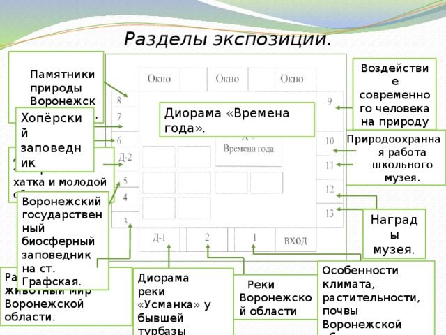 Разделы экспозиции.  Памятники природы Воронежской области. Воздействие современного человека на природу Диорама «Времена года». Хопёрский заповедник Природоохранная работа школьного музея. Диорама «Бобровская хатка и молодой сбор». Воронежский государственный биосферный заповедник на ст. Графская. Награды музея. Особенности климата, растительности, почвы Воронежской области. Растительный и животный мир Воронежской области. Диорама реки «Усманка» у бывшей турбазы «Кристалл».  Реки Воронежской области 