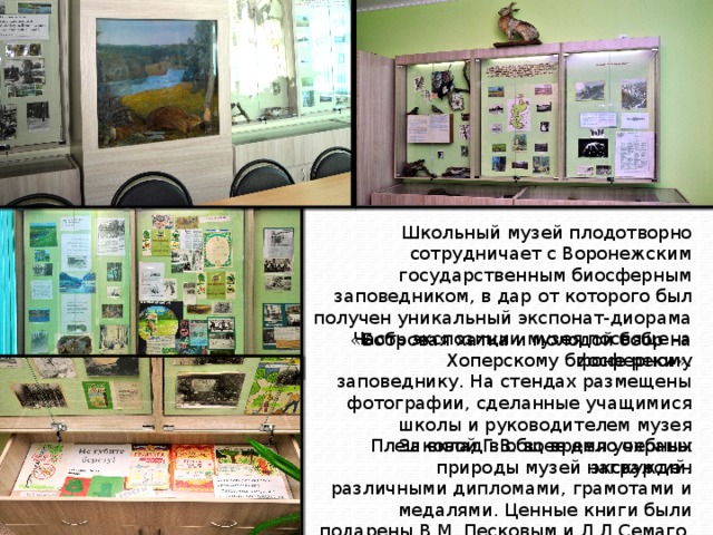 Школьный музей плодотворно сотрудничает с Воронежским государственным биосферным заповедником, в дар от которого был получен уникальный экспонат-диорама «Бобровая хатка и молодой бобр на фоне реки». Часть экспозиции музея посвящена Хоперскому биосферному заповеднику. На стендах размещены фотографии, сделанные учащимися школы и руководителем музея Плешковой Г.В. во время учебных экскурсий. За вклад в общее дело охраны природы музей награжден различными дипломами, грамотами и медалями. Ценные книги были подарены В.М. Песковым и Л.Л,Семаго. 