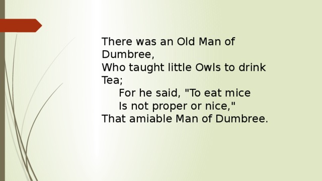 There was an Old Man of Dumbree,  Who taught little Owls to drink Tea;       For he said, 