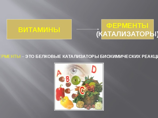 ВИТАМИНЫ ФЕРМЕНТЫ (КАТАЛИЗАТОРЫ) ФЕРМЕНТЫ – ЭТО БЕЛКОВЫЕ КАТАЛИЗАТОРЫ БИОХИМИЧЕСКИХ РЕАКЦИЙ 