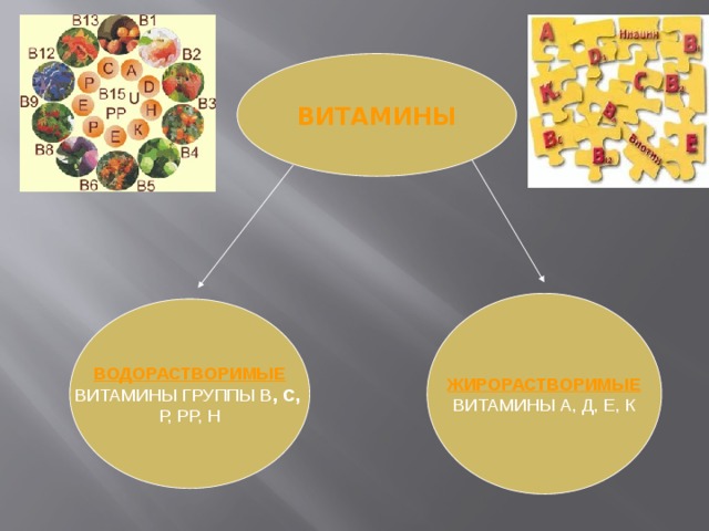 ВИТАМИНЫ ЖИРОРАСТВОРИМЫЕ ВИТАМИНЫ А, Д, Е, К ВОДОРАСТВОРИМЫЕ ВИТАМИНЫ ГРУППЫ В , С,  Р, РР, Н 
