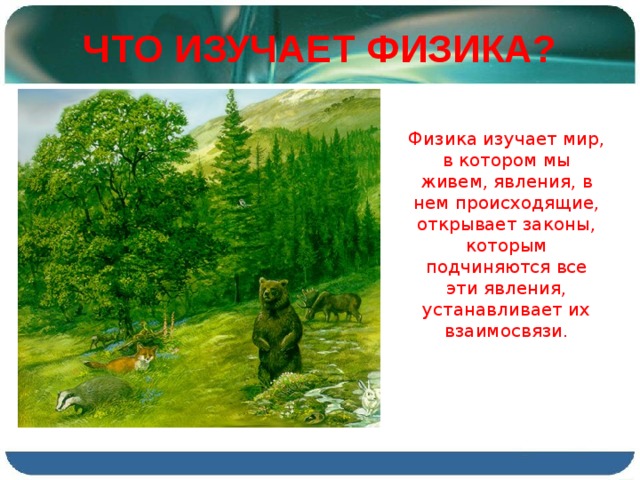 ЧТО ИЗУЧАЕТ ФИЗИКА? Физика изучает мир, в котором мы живем, явления, в нем происходящие, открывает законы, которым подчиняются все эти явления, устанавливает их взаимосвязи. 