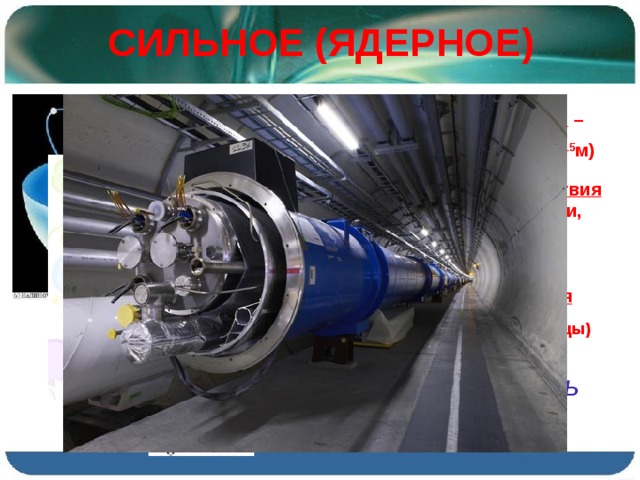 СИЛЬНОЕ (ЯДЕРНОЕ) Радиус действия, м – 1 фм (фемтометр, 10 -15 м)  Место взаимодействия -Между нуклонами, эл. частицами  Переносчик взаимодействия Глюоны  (эл. частицы) СТАБИЛЬНОСТЬ ЯДРА АТОМА КОРТКОДЕЙСТВУЮЩЕЕ 
