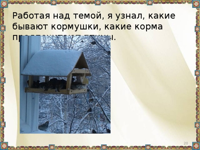 Работая над темой, я узнал, какие бывают кормушки, какие корма предпочитают птицы.