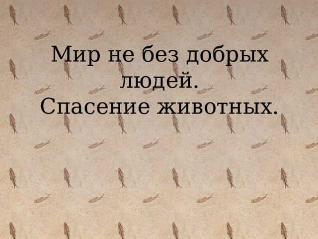 Мир не без добрых людей.  Спасение животных. 