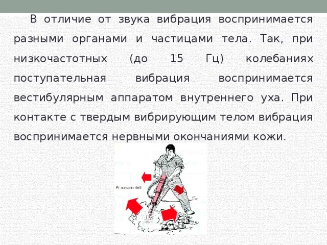  В отличие от звука вибрация воспринимается разными органами и частицами тела. Так, при низкочастотных (до 15 Гц) колебаниях поступательная вибрация воспринимается вестибулярным аппаратом внутреннего уха. При контакте с твердым вибрирующим телом вибрация воспринимается нервными окончаниями кожи. 
