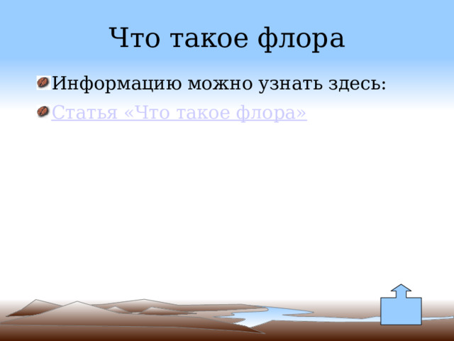 Что такое флора Информацию можно узнать здесь: Статья «Что такое флора» 