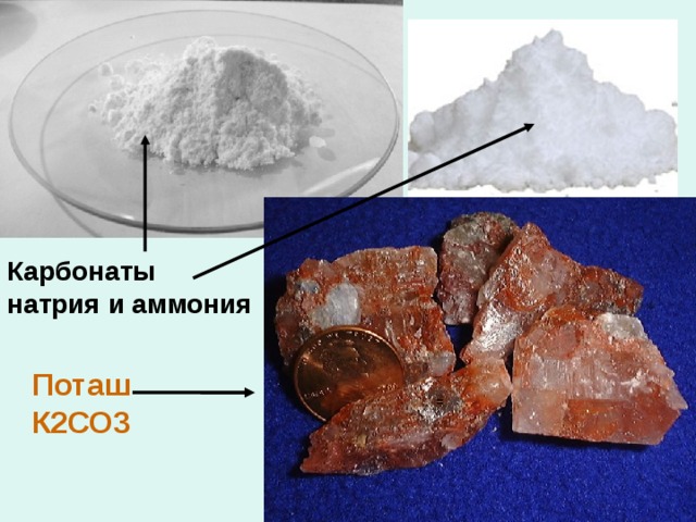 Карбонаты натрия и аммония  Поташ К2СО3 