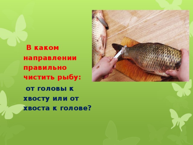      В каком направлении правильно чистить рыбу:  от головы к хвосту или от хвоста к голове? 