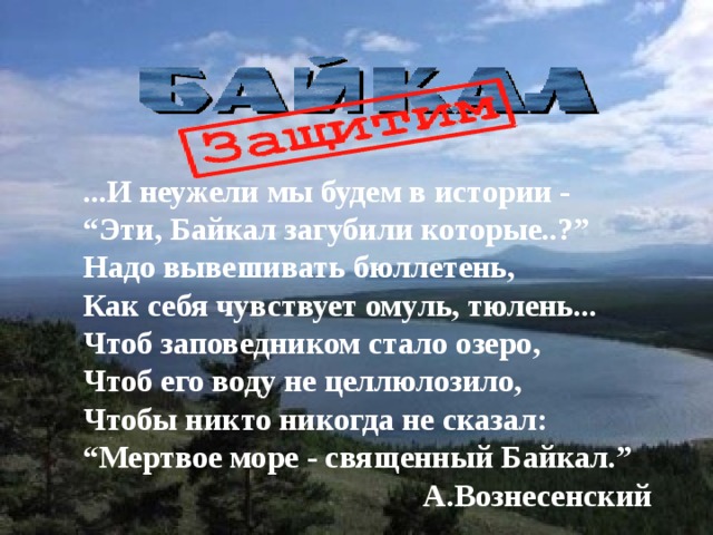 ...И неужели мы будем в истории -   “Эти, Байкал загубили которые..?”  Надо вывешивать бюллетень,  Как себя чувствует омуль, тюлень...  Чтоб заповедником стало озеро,  Чтоб его воду не целлюлозило,  Чтобы никто никогда не сказал:  “Мертвое море - священный Байкал.”   А.Вознесенский 