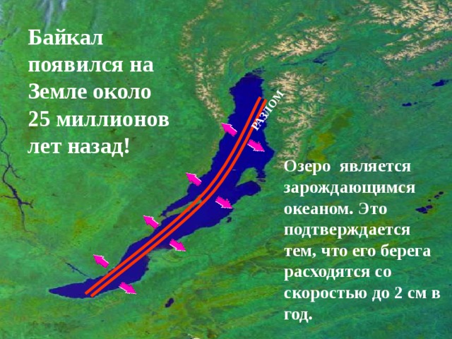 РАЗЛОМ Байкал появился на Земле около 25 миллионов лет назад!  Озеро является зарождающимся океаном. Это подтверждается тем, что его берега расходятся со скоростью до 2 см в год. 