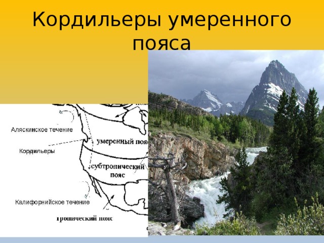 Кордильеры умеренного пояса 
