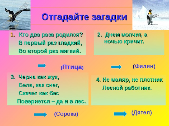 ( Птица ) Отгадайте загадки  2.  Днем молчит, а ночью кричит. Кто два раза родился?  В первый раз гладкий,  Во второй раз мягкий. ( Филин)  3. Черна как жук,  Бела, как снег,  Скачет как бес  Повернется – да и в лес.   4.  Не маляр, не плотник  Лесной работник.  (Дятел)   (Сорока)  