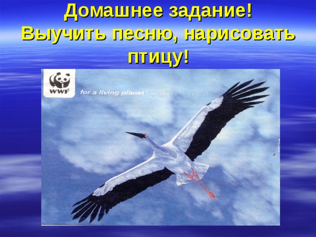 Домашнее задание!  Выучить песню, нарисовать птицу! 