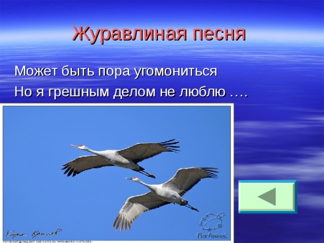 Журавлиная песня  Может быть пора угомониться Но я грешным делом не люблю …. 