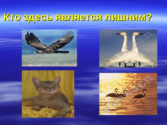 Кто здесь является лишним? 
