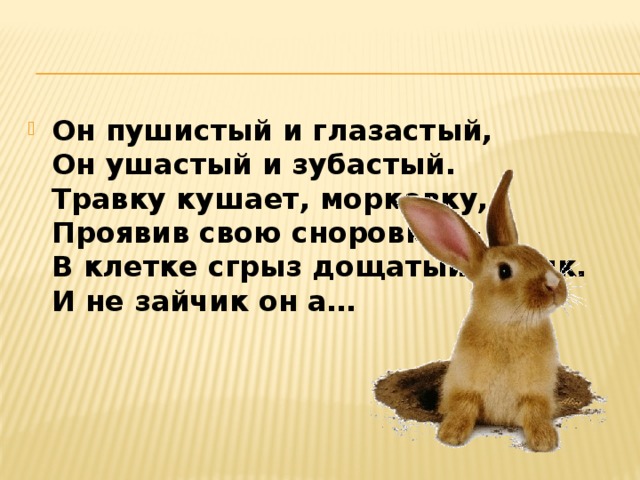 Он пушистый и глазастый,  Он ушастый и зубастый.  Травку кушает, морковку,  Проявив свою сноровку —  В клетке сгрыз дощатый полик.  И не зайчик он а… 