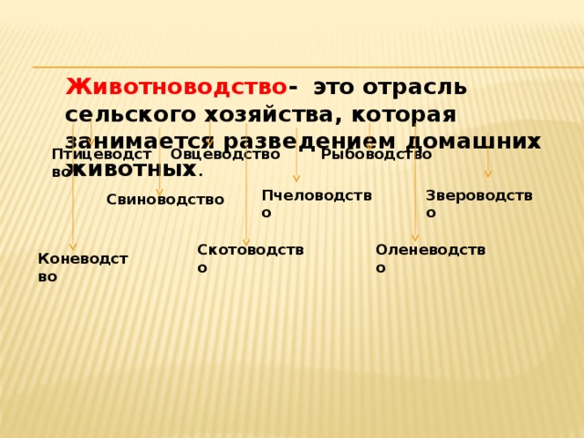 Животноводство - это отрасль сельского хозяйства, которая занимается разведением домашних животных . Птицеводство Рыбоводство Овцеводство Звероводство Пчеловодство Свиноводство Скотоводство Оленеводство Коневодство 