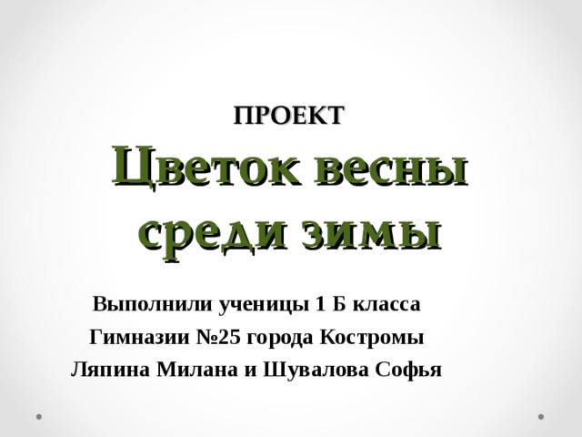 ПРОЕКТ  Цветок весны среди зимы Выполнили ученицы 1 Б класса Гимназии №25 города Костромы Ляпина Милана и Шувалова Софья  