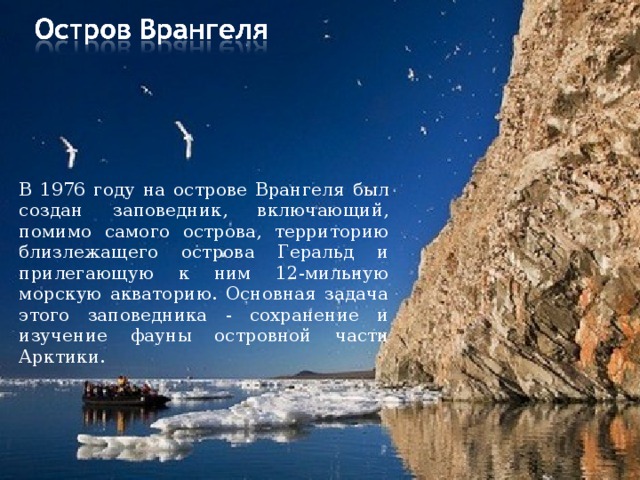 В 1976 году на острове Врангеля был создан заповедник, включающий, помимо самого острова, территорию близлежащего острова Геральд и прилегающую к ним 12-мильную морскую акваторию. Основная задача этого заповедника - сохранение и изучение фауны островной части Арктики. 