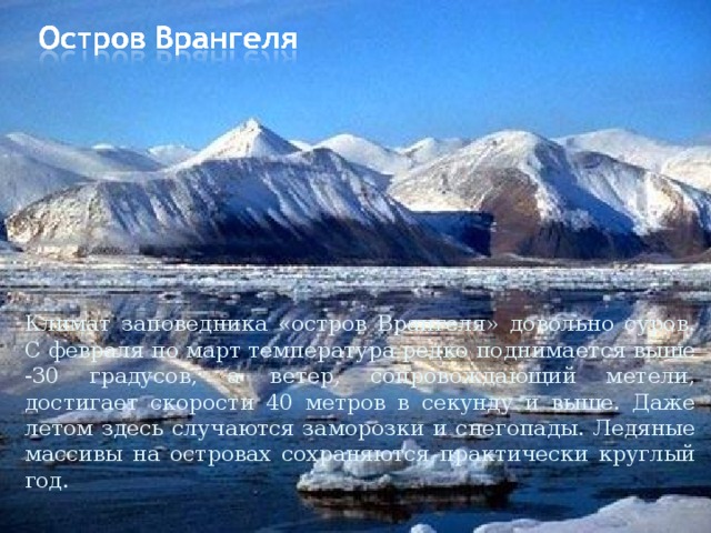 Климат заповедника «остров Врангеля» довольно суров. С февраля по март температура редко поднимается выше -30 градусов, а ветер, сопровождающий метели, достигает скорости 40 метров в секунду и выше. Даже летом здесь случаются заморозки и снегопады. Ледяные массивы на островах сохраняются практически круглый год. 