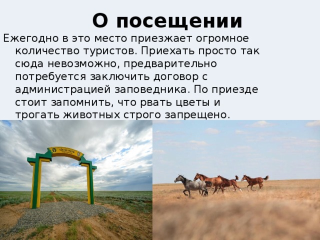 О посещении Ежегодно в это место приезжает огромное количество туристов. Приехать просто так сюда невозможно, предварительно потребуется заключить договор с администрацией заповедника. По приезде стоит запомнить, что рвать цветы и трогать животных строго запрещено. Единственно, что можно сделать – это запечатлеть растительность на фото или видео. 