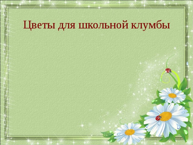 Цветы для школьной клумбы 