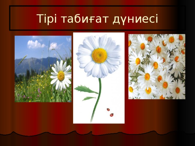 Тірі табиғат дүниесі 