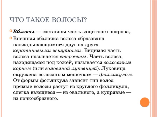 Что такое волосы? Во́лосы — составная часть защитного покрова,. Внешняя оболочка волоса образована накладывающимися друг на друга кератиновыми чешуйками . Видимая часть волоса называется стержнем . Часть волоса, находящаяся под кожей, называется волосяным корнем (или волосяной луковицей ). Луковица окружена волосяным мешочком — фолликулом . От формы фолликула зависит тип волос: прямые волосы растут из круглого фолликула, слегка вьющиеся — из овального, а кудрявые — из почкообразного. 