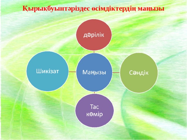 Қырықбуынтәріздес өсімдіктердің маңызы 