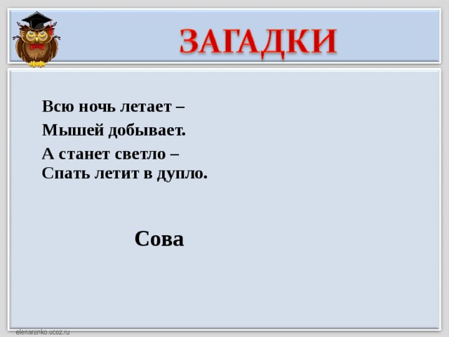 Всю ночь летает – Мышей добывает. А станет светло – Спать летит в дупло. Сова 