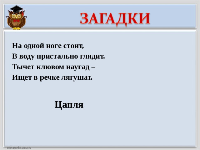 На одной ноге стоит, В воду пристально глядит. Тычет клювом наугад – Ищет в речке лягушат. Цапля 