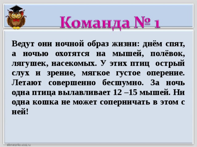 Ведут они ночной образ жизни: днём спят, а ночью охотятся на мышей, полёвок, лягушек, насекомых. У этих птиц острый слух и зрение, мягкое густое оперение. Летают совершенно бесшумно. За ночь одна птица вылавливает 12 –15 мышей. Ни одна кошка не может соперничать в этом с ней!   