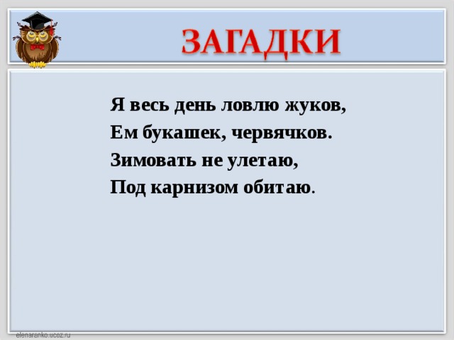 Я весь день ловлю жуков, Ем букашек, червячков. Зимовать не улетаю, Под карнизом обитаю .  
