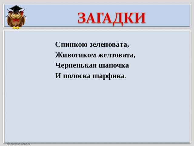 Спинкою зеленовата, Животиком желтовата, Черненькая шапочка И полоска шарфика . 