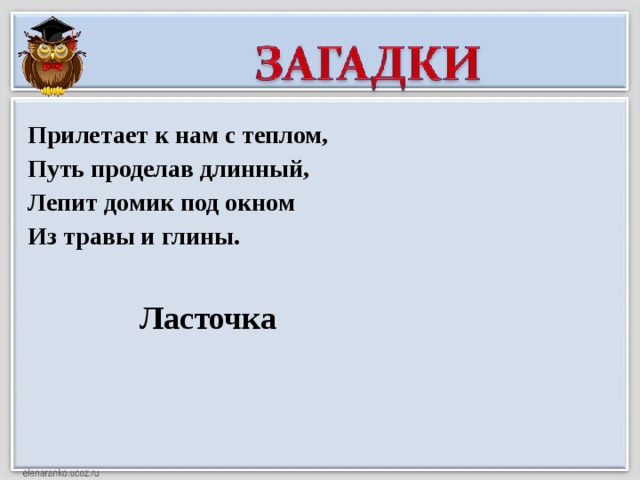Прилетает к нам с теплом, Путь проделав длинный, Лепит домик под окном Из травы и глины. Ласточка 