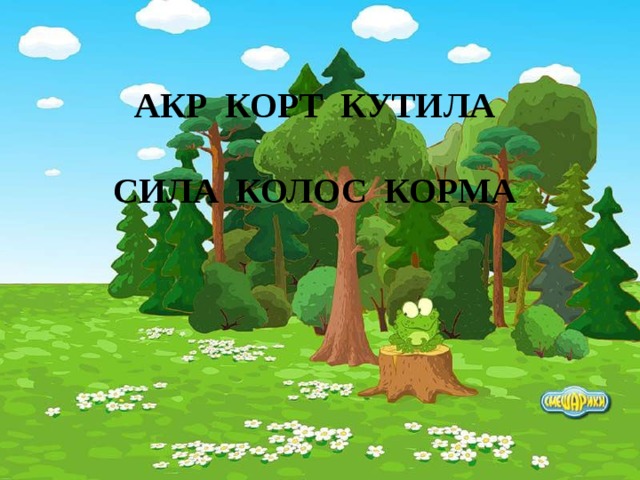 АКР КОРТ КУТИЛА  СИЛА КОЛОС КОРМА 