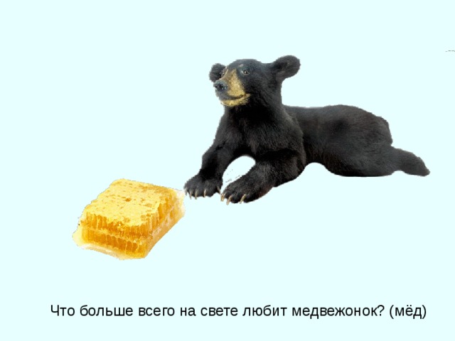 Что больше всего на свете любит медвежонок? (мёд) 