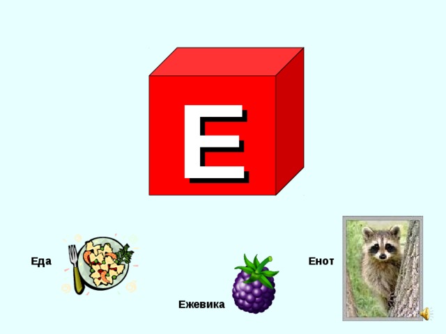 Е Еда Енот Ежевика 
