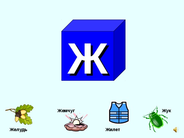 Ж Жемчуг Жук  Жилет Желудь 