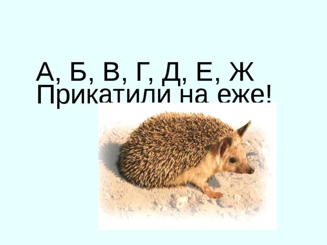 А, Б, В, Г, Д, Е, Ж  Прикатили на еже! 