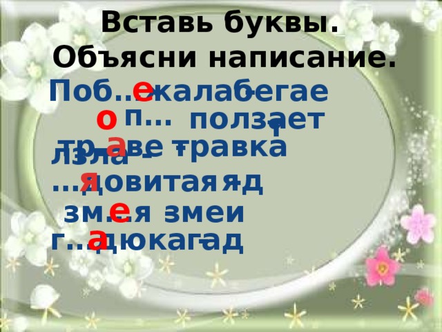 Вставь буквы.  Объясни написание.   е Поб…жала -  бегает   п…лзла -  о  ползает тр…ве -  а  травка … довитая -  я  яд е  зм…я -   змеи г…дюка -  а гад       