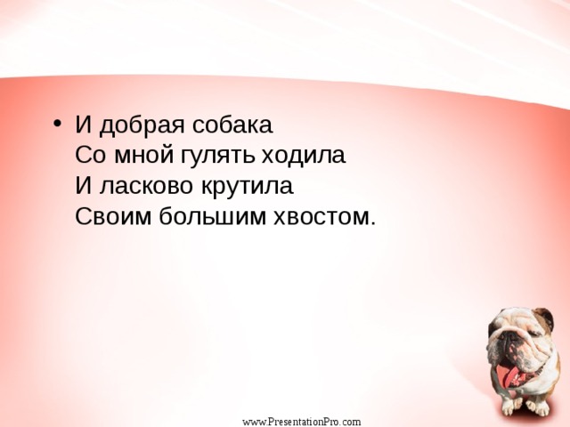 И добрая собака   Со мной гулять ходила  И ласково крутила  Своим большим хвостом.  www.PresentationPro.com 